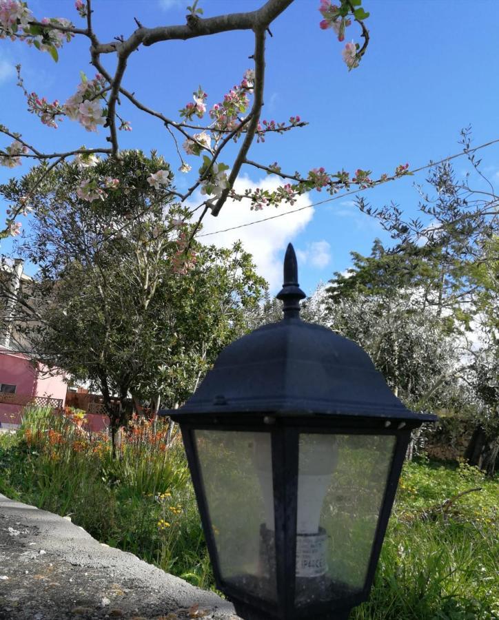 Bed and Breakfast Albero Della Musica Sassari Zewnętrze zdjęcie