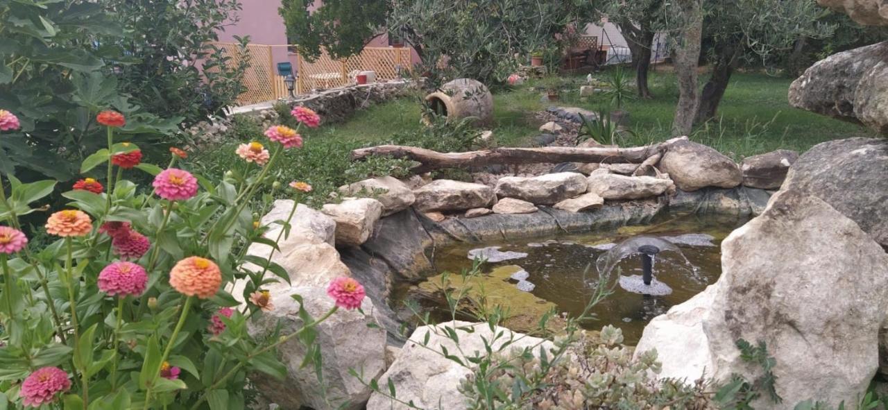 Bed and Breakfast Albero Della Musica Sassari Zewnętrze zdjęcie